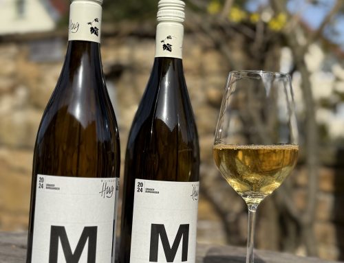 Next Level Grauburgunder – Mirco M11 Grauer Burgunder 2024