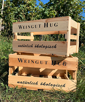 Weinkiste | Weingut Hug in Pfaffenweiler bei Freiburg im Breisgau
